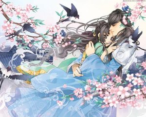 pr18九天狐正能量在线观看